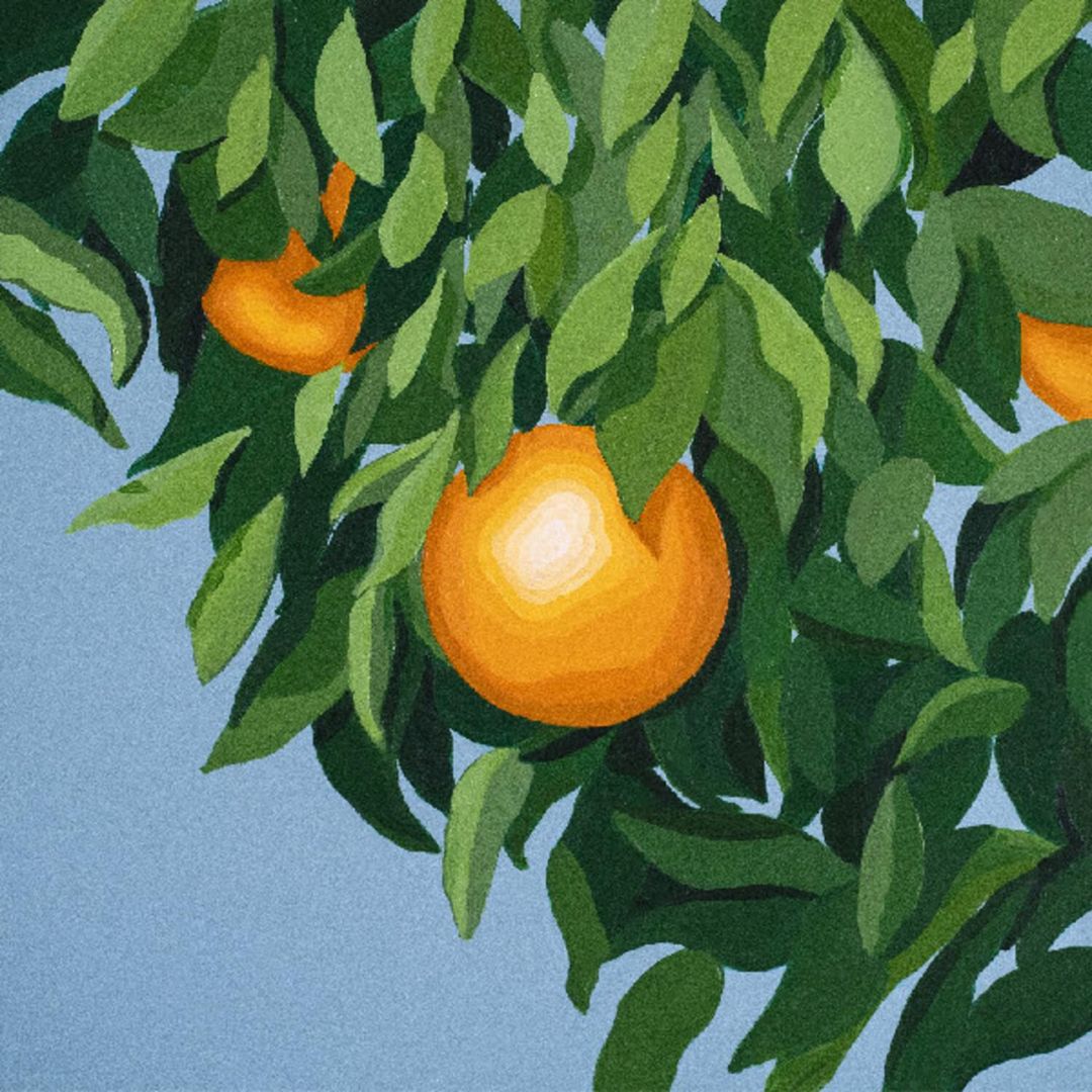 For the First Time, Again cover art
