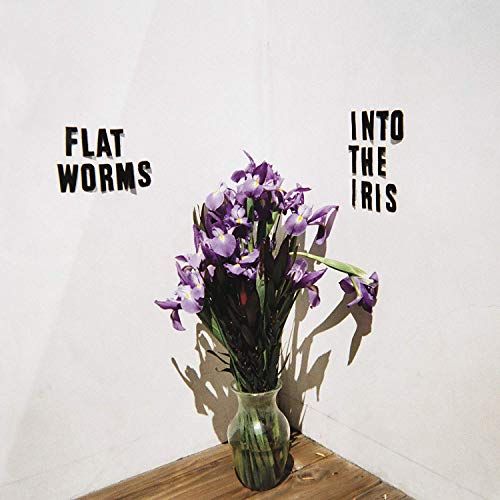 Into the Iris cover art