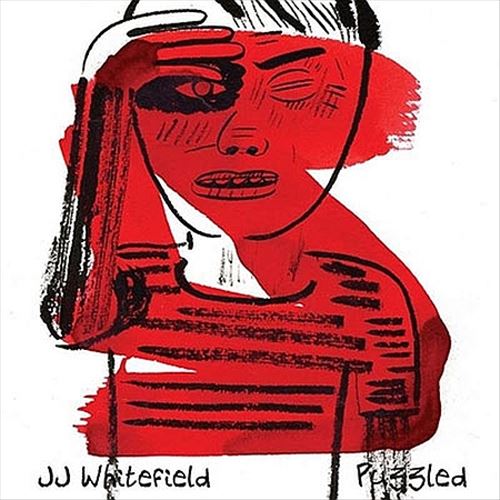 Puzzled cover art
