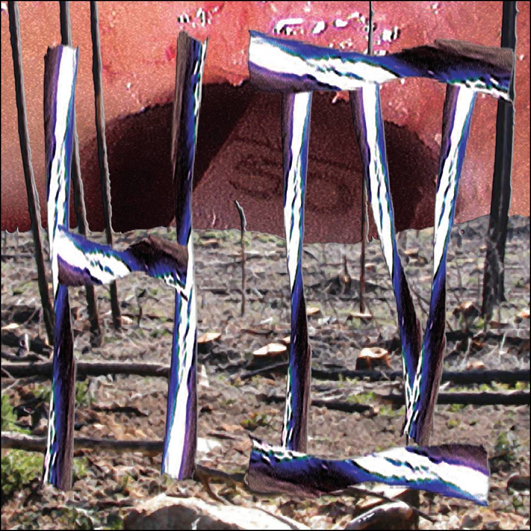 Refuge in Genre cover art