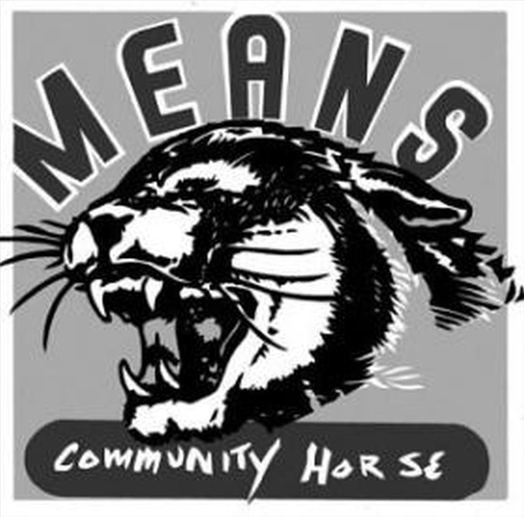 Community Horse cover art