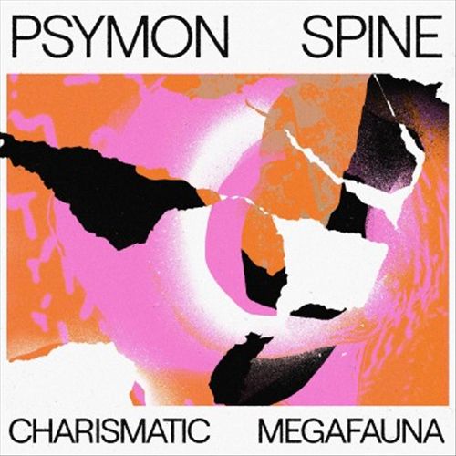 Charismatic Megafauna cover art