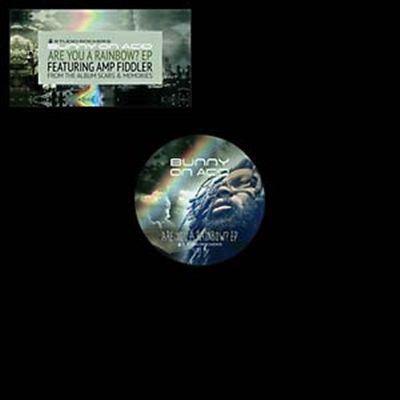 Are You a Rainbow? cover art