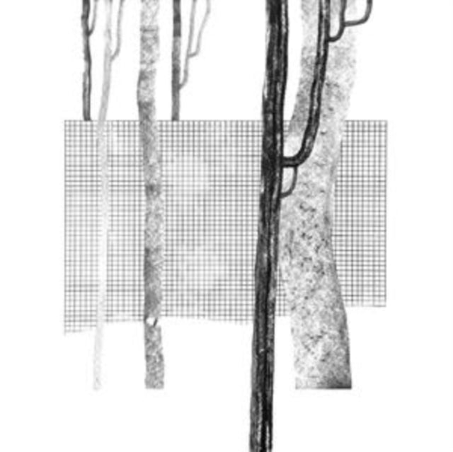 SYSTEMA NATURAE I cover art