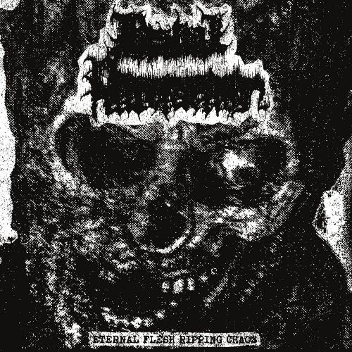 Eternal Flesh Ripping Chaos cover art