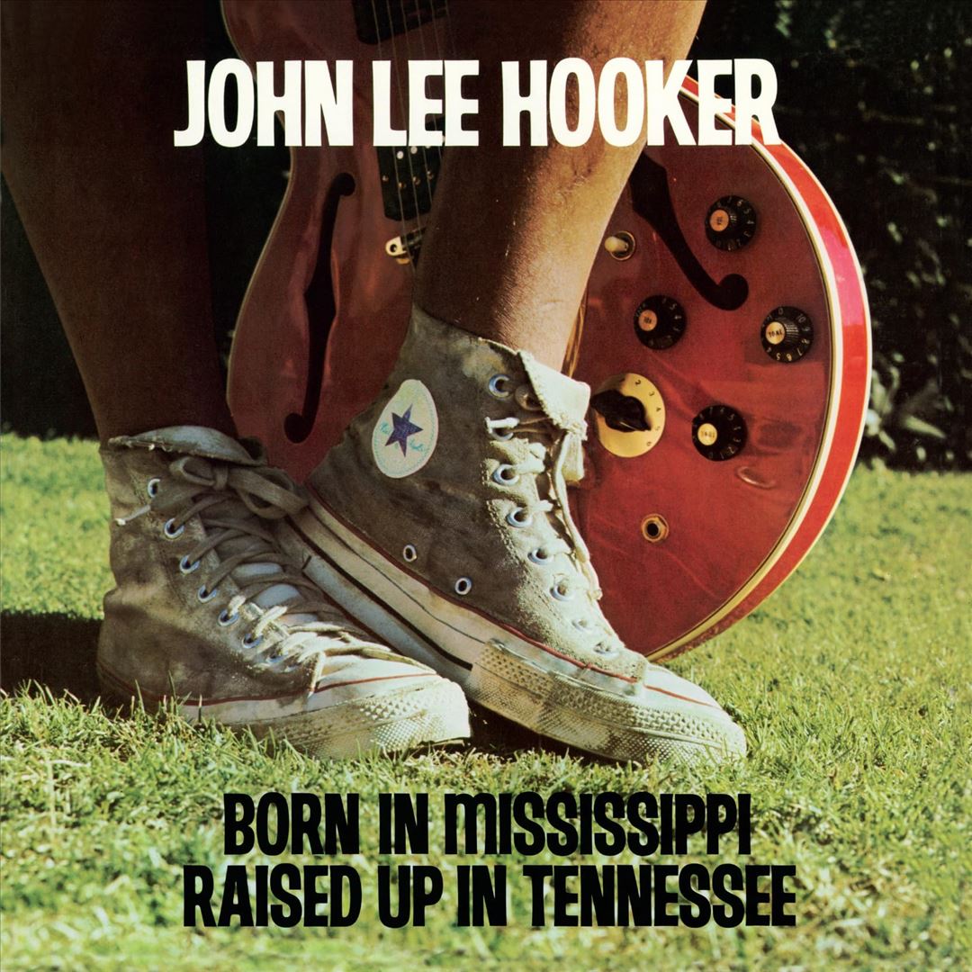Born in Mississippi, Raised Up in Tennessee cover art