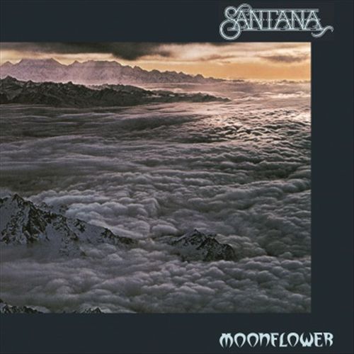 Moonflower cover art