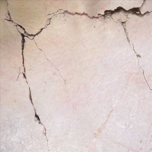 Shibboleth cover art