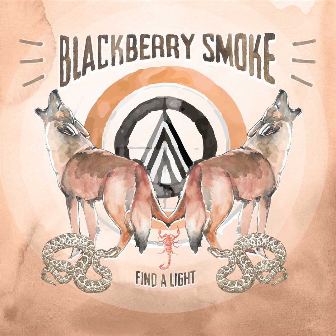 Find a Light cover art