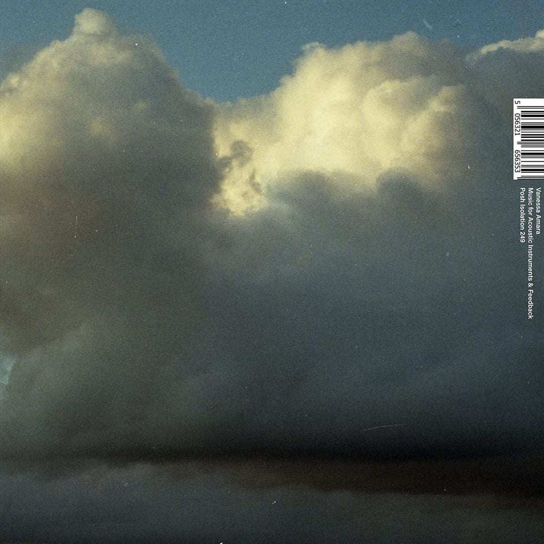 Music for Acoustic Instruments & Feedback cover art