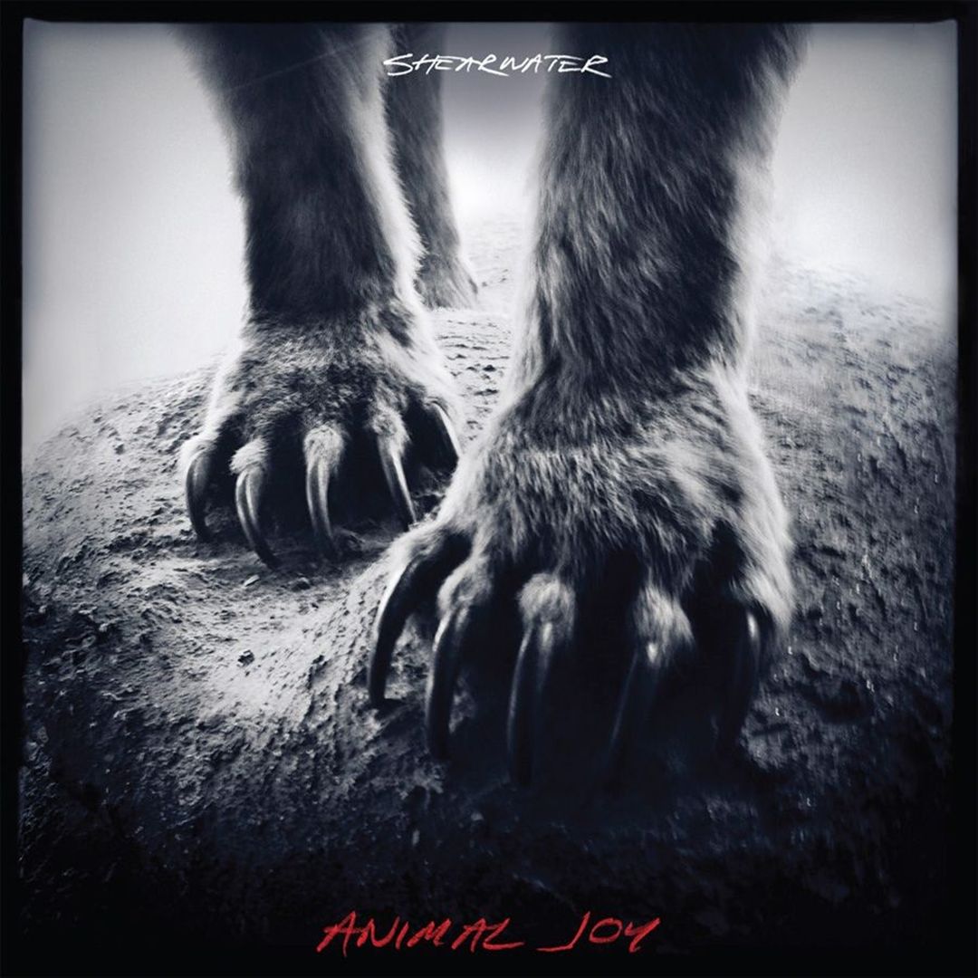 Animal Joy cover art