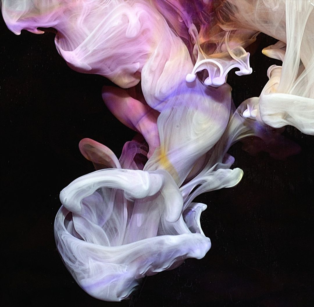 Murmurations cover art