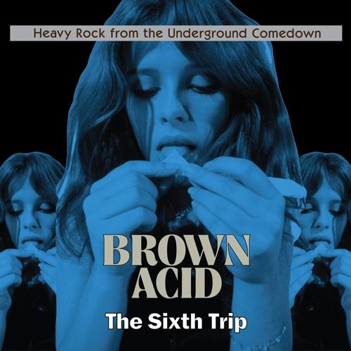 Brown Acid: The Sixth Trip cover art