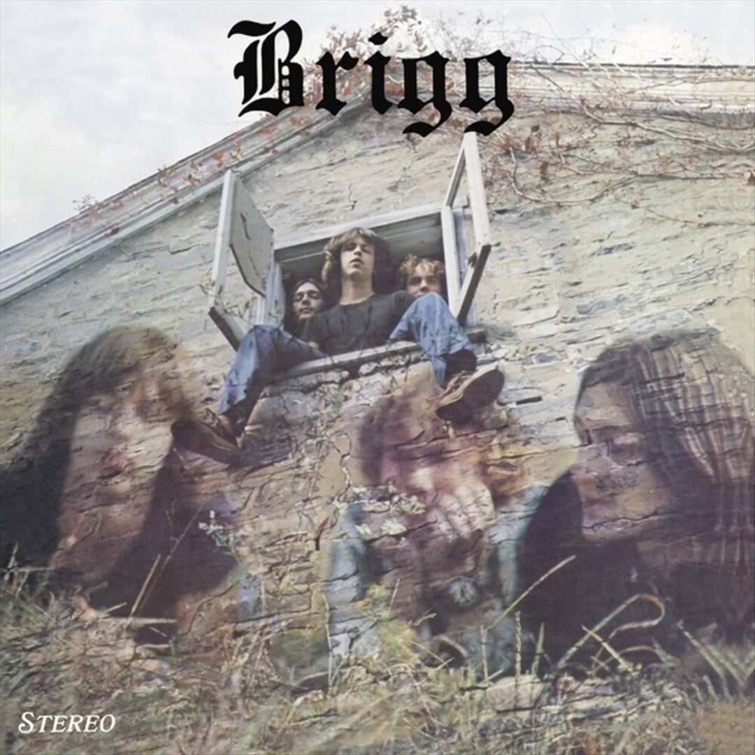 Brigg cover art