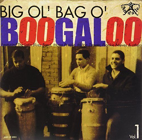 Big Ol' Bag of Boogaloo, Vol. 1 cover art