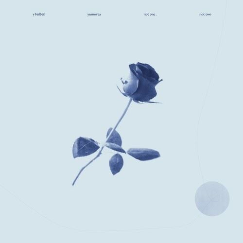 Not One, Not Two cover art