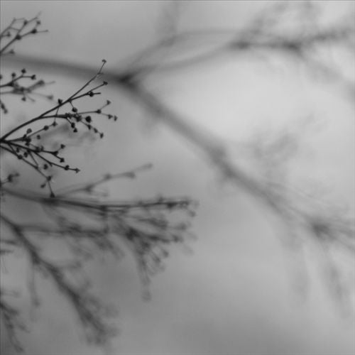 What Matters Most cover art