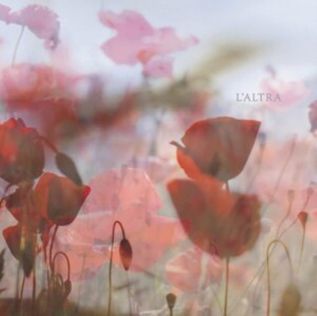 IN THE AFTERNOON cover art