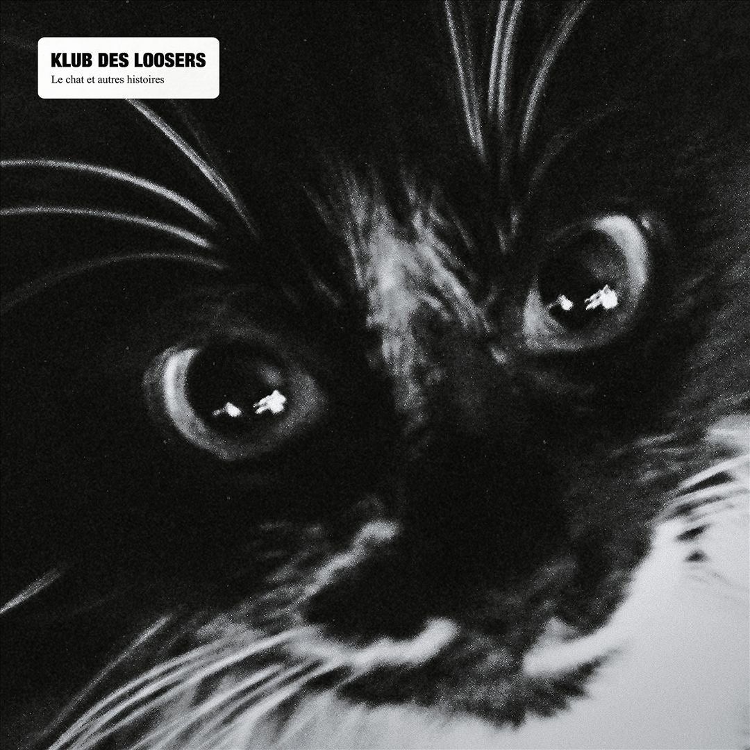 Chat et Autres Histoires cover art