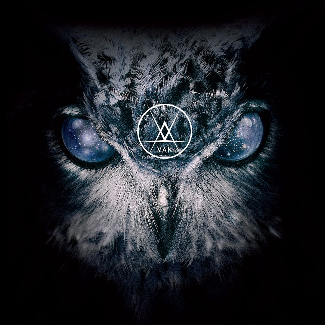 Argument with the Disease cover art