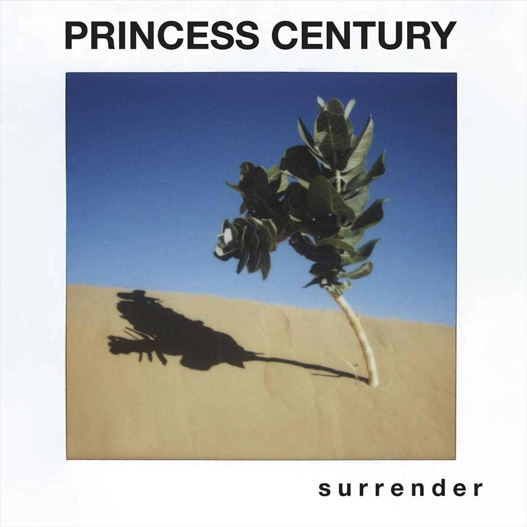 Surrender cover art
