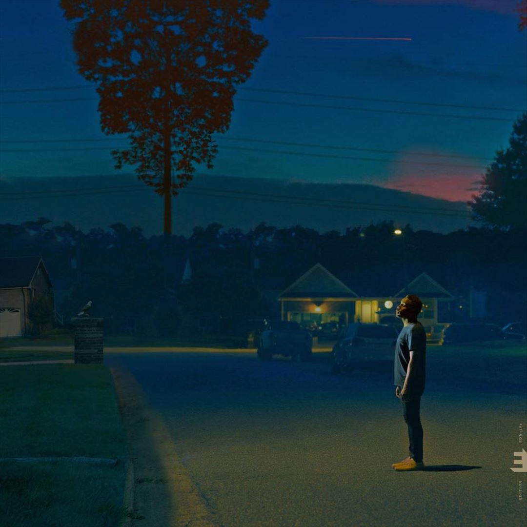 Kinfolk, Vol. 2: See the Birds cover art
