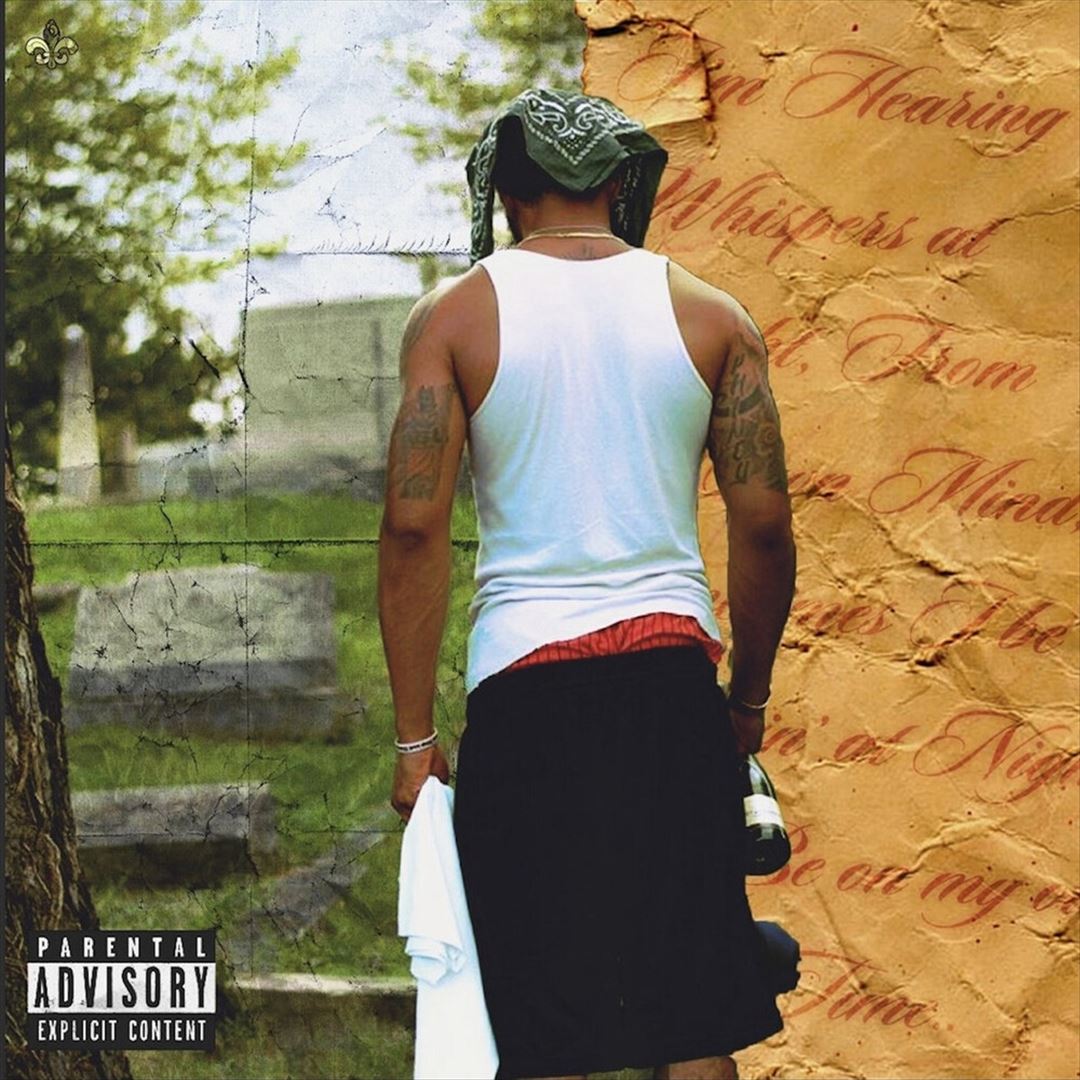 I'm Mad Hol'on cover art