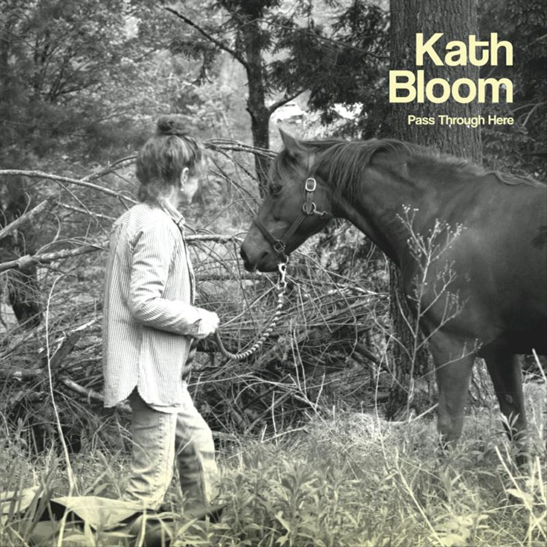 Pass Through Here cover art