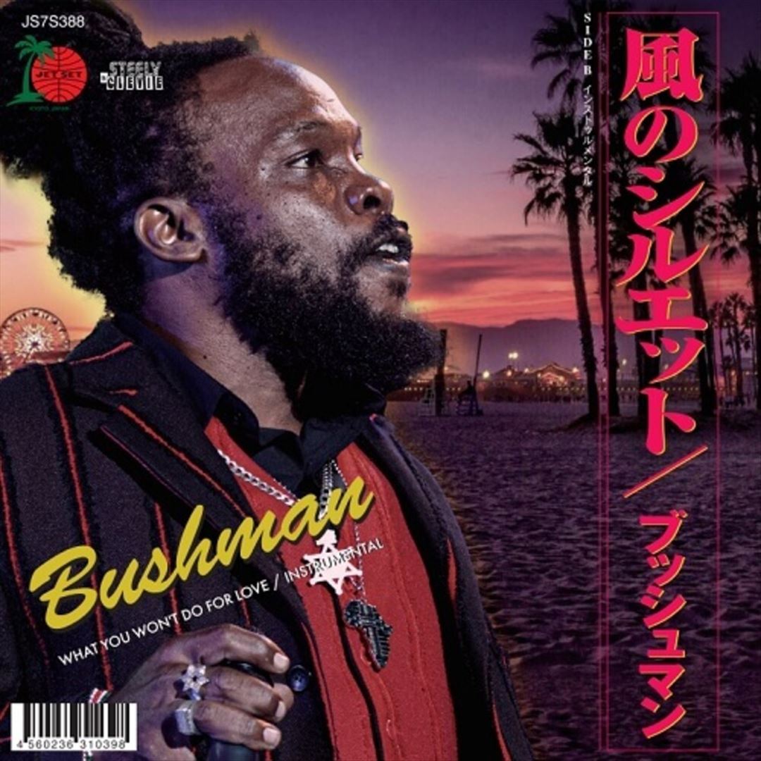 What You Won't Do for Love cover art