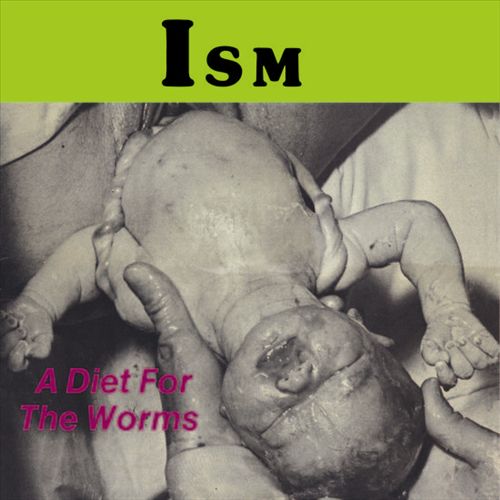 Diet for the Worms cover art