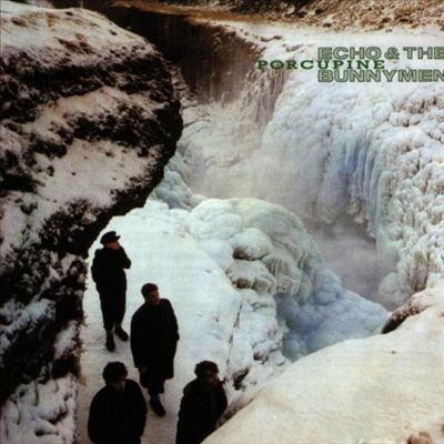 Porcupine cover art