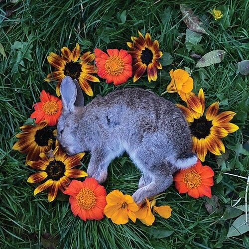 Your Time To Shine cover art