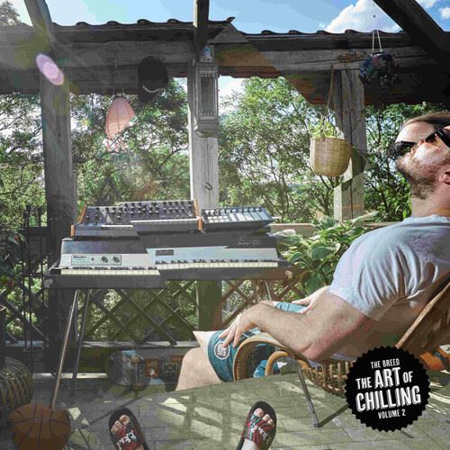 Art of Chilling, Vol. 2 cover art