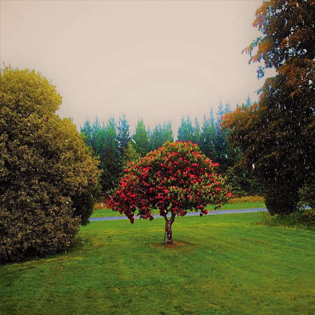 Foothills cover art