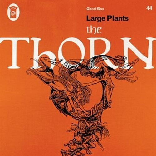 Thorn cover art