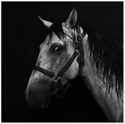 Boeker Muhle cover art