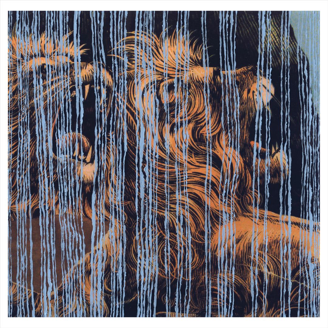 Lines cover art