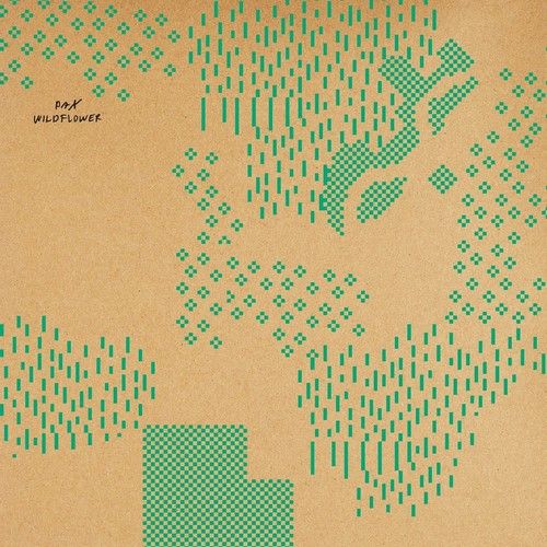 Wildflower cover art