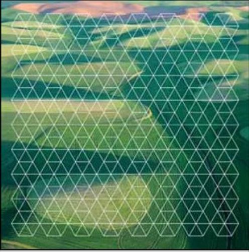 Fields cover art