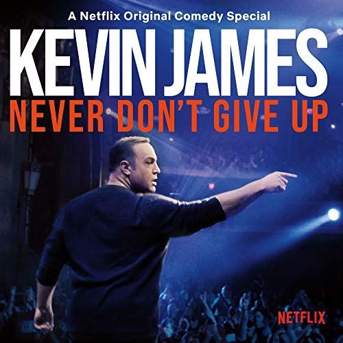 Never Don't Give Up cover art