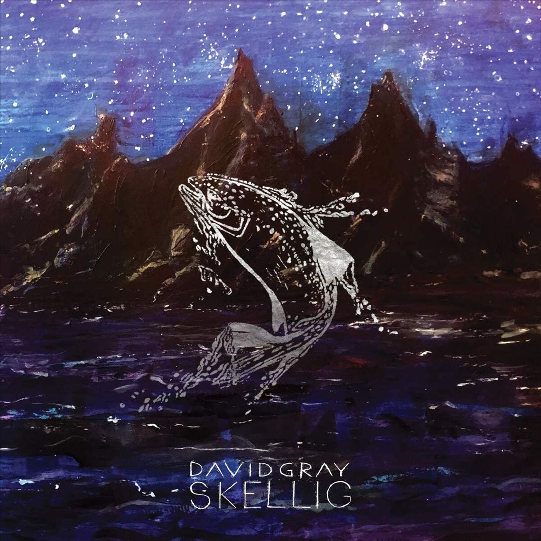 Skellig cover art
