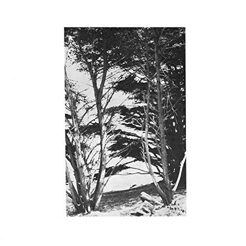Gentle Wilderness cover art