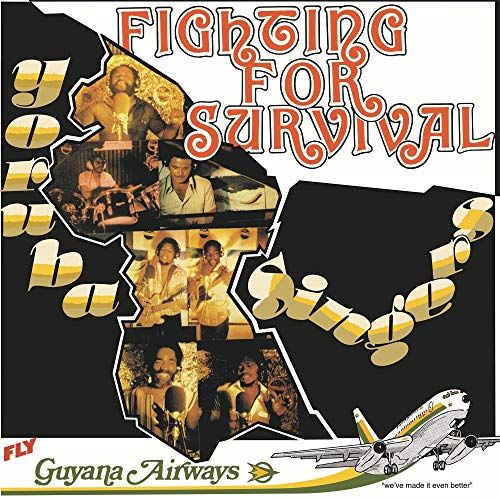 Fighting for Survival cover art