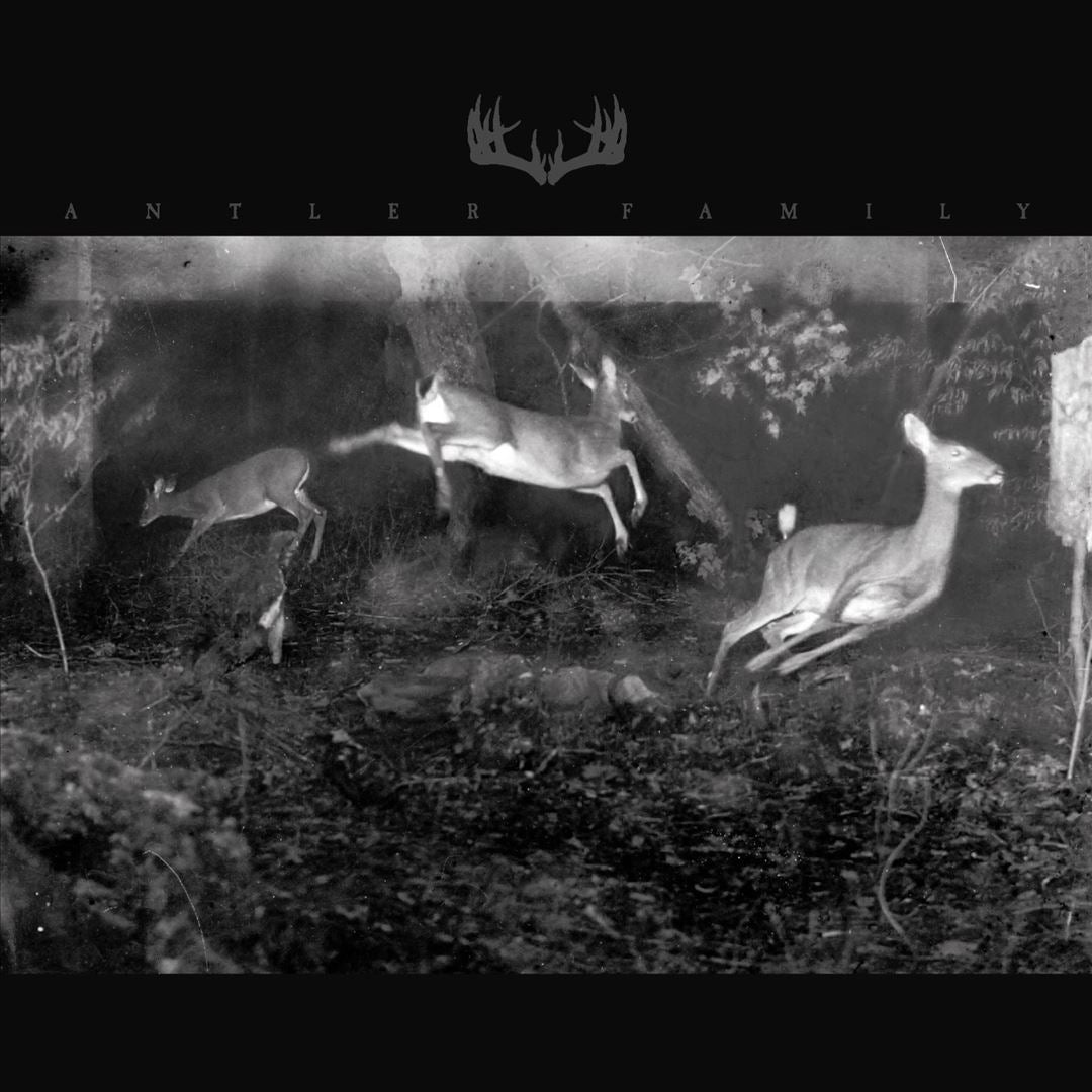 Antler Family cover art