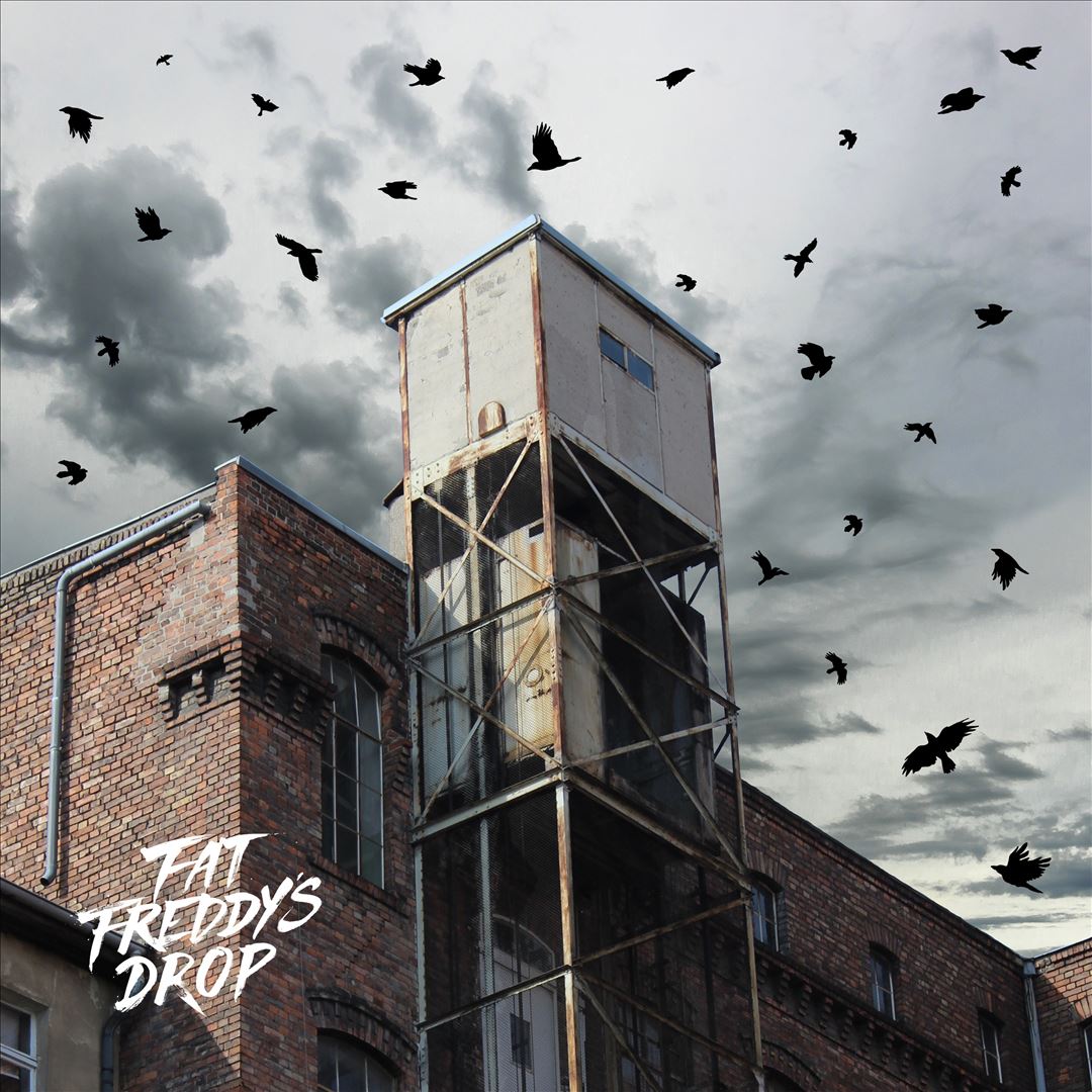 Blackbird Returns cover art