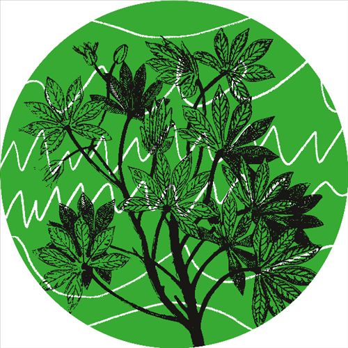 Brasil Novas Frequencias cover art