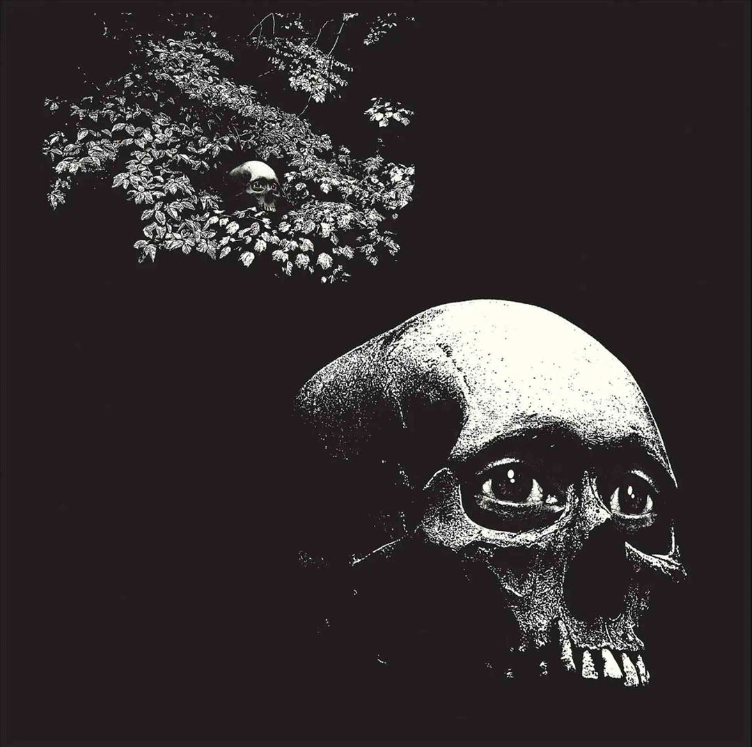 Foul Form cover art