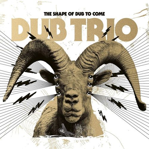 Shape of Dub to Come cover art