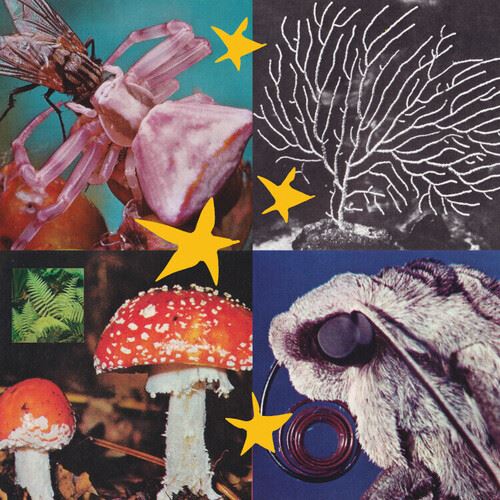 All Things Considered, Vol. 2 cover art