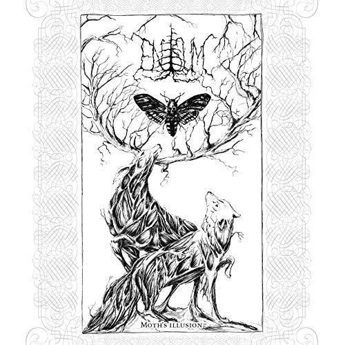 Moth's Illusion cover art
